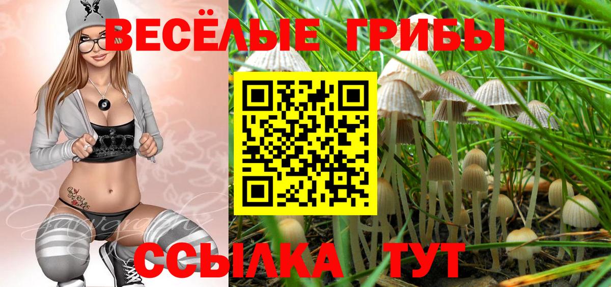 Галлюциногенные грибы Psilocybine cubensis Белая Калитва
